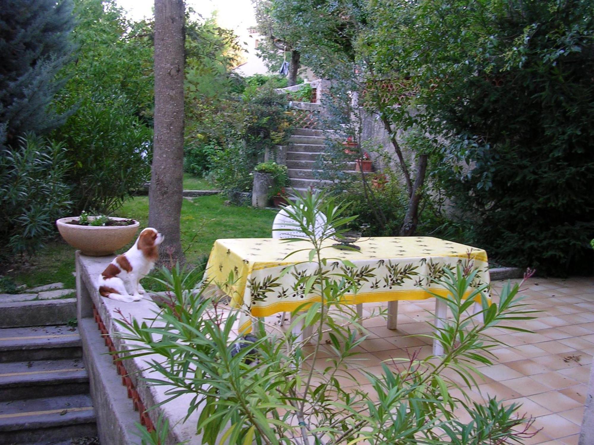 Le Jardin Apartment Greoux-les-Bains ภายนอก รูปภาพ